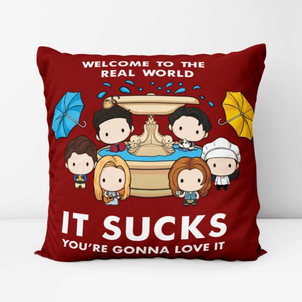 Friends Tv Series Pillow