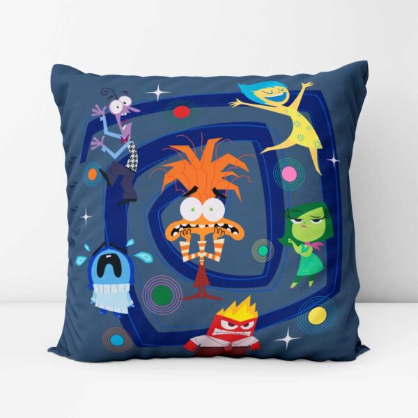 InSIde Out Pillow